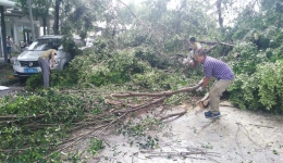 台风天，我院员工第一时间抢险开路