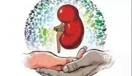 开平市中心医院“世界肾脏病日”义诊预告