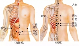 饮饱食滞，一点就通！