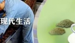 中药还能这样吃，你居然不知道？！