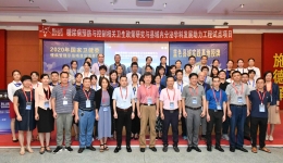 热烈祝贺开平市中心医院内分泌科连续四年成功举办全国交流活动