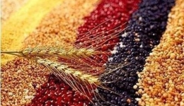 6种米饭有美容养颜的功效