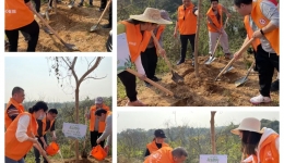 开平市中心医院职能第三、第四党支部开展“携手齐造林、党员树新风”主题党日活动