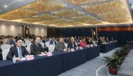 【“急”中求进，“诊”启新篇】江门市急诊学术盛宴