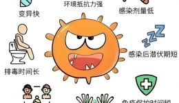 科学预防诺如病毒，为健康保驾护航