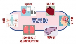 【健康科普】甜饮料、炸鸡腿？别让