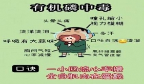 六旬老人突发昏迷，竟是农药中毒惹的祸